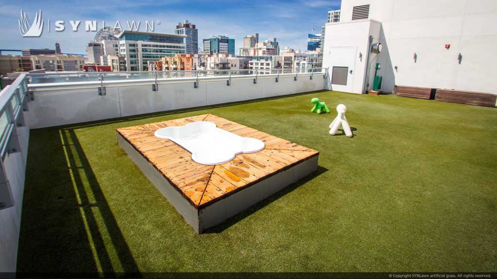 Rooftop artificial grass dog park installed by SYNLawn